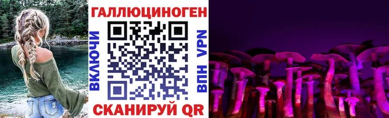 Галлюциногенные грибы MAGIC MUSHROOMS Вышний Волочёк