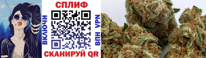 Каннабис конопля  магазин продажи наркотиков  Вышний Волочёк 